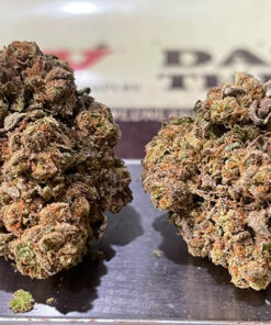 PINK RUNTZ 7GRAMS QUARTER 26%THC HYBRID 🎃HALO SALE🎃