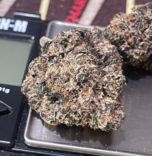 VENOM  RUNTZ 3.5G EXOTIC 36%THC 🔥🔥SMALL BATCH 🏆 INDICA