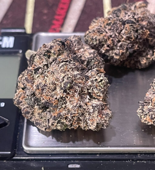 VENOM  RUNTZ 3.5G EXOTIC 36%THC 🔥🔥SMALL BATCH 🏆 INDICA