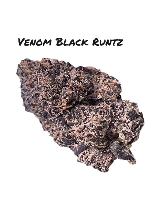 VENOM  RUNTZ 3.5G EXOTIC 36%THC 🔥🔥SMALL BATCH 🏆 INDICA