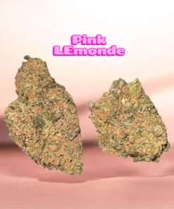 PINK LEMONADE 4 GRaMS SATIVA DOM HYBRiD 30%THC ⛱️SUMMER SALE⛱️ PINK LEMONADE 4 GRaMS SATIVA DOM HYBRiD 30%THC ⛱️SUMMER SALE⛱️
