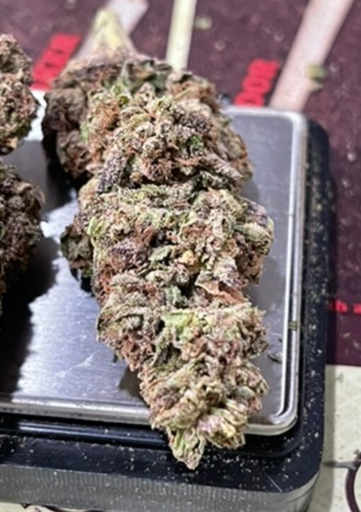 FISH SCALE 28g OZ ON SALE 26%THC HYBRID
