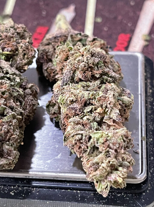 FISH SCALE 28g OZ ON SALE 26%THC HYBRID