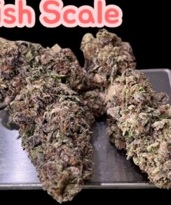 FISH SCALE 28g OZ ON SALE 26%THC HYBRID