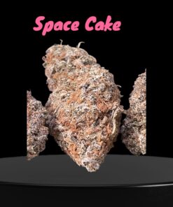SPACE CAKE 3.5g INDICA 30%THC 🔥🔥🪐🪐