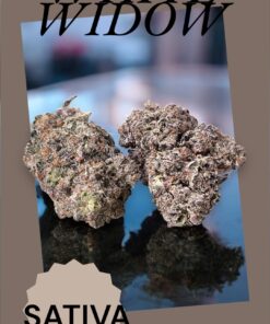 WHITE WIDOW 3.5g SATIVA 33%THC 🔥🔥🔥 INDOOR  – MEMORIAL DAY SALE-