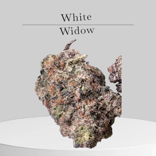 WHITE WIDOW 3.5g SATIVA 33%THC 🔥🔥🔥 INDOOR  – MEMORIAL DAY SALE-