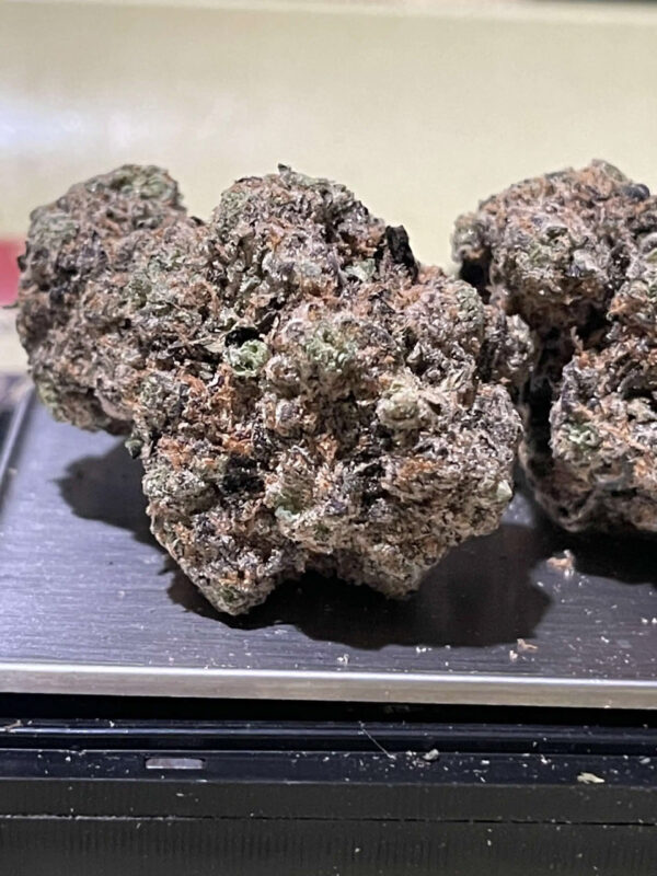 Platinum Jack -Caliva
