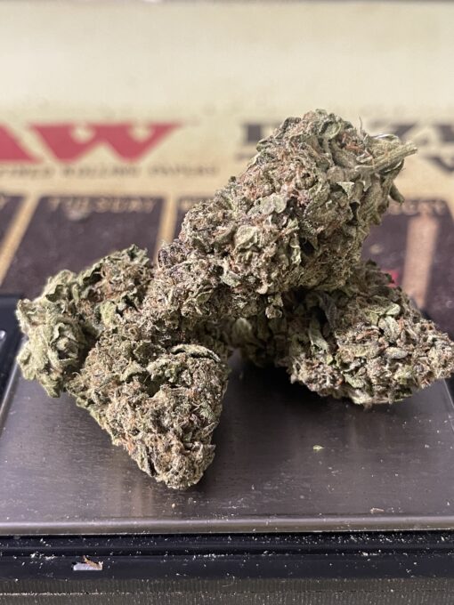 Apple Fritter Hybrid