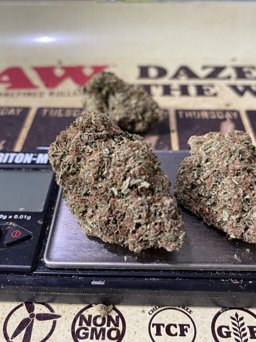 GUAVA 3.5g SATIVA INDOOR