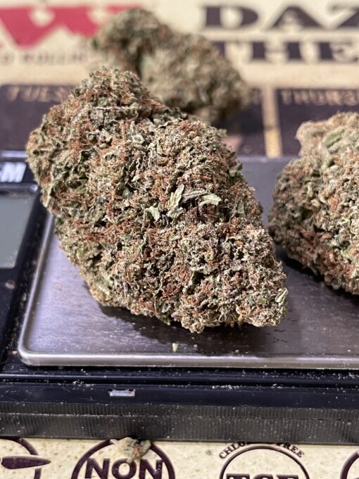 GUAVA 3.5g SATIVA INDOOR