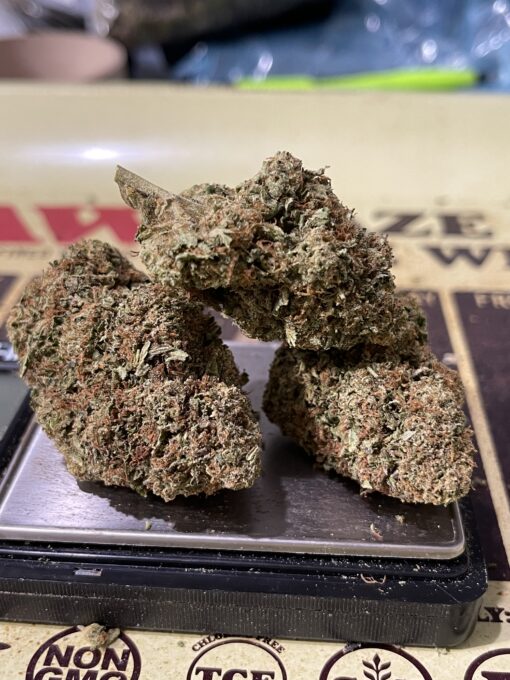 GUAVA 3.5g SATIVA INDOOR