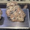 SUPER LEMON HAZE x DURBAN BISCOTII SATIVA 🔥🔥🔥