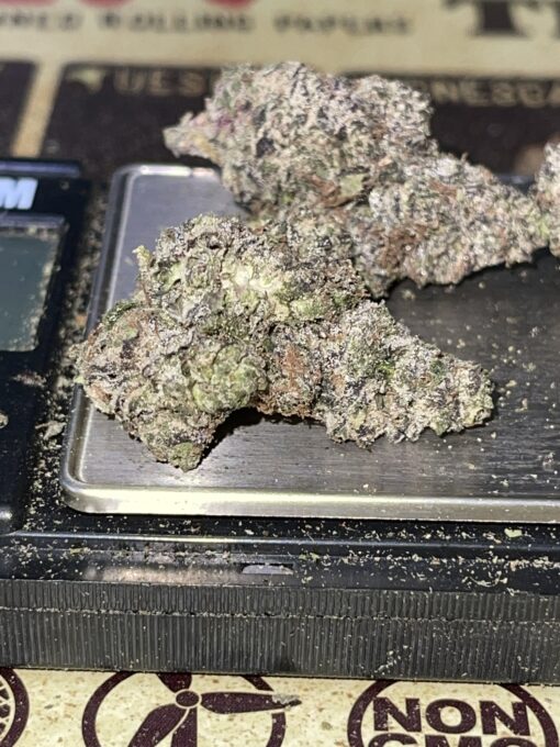 Coochie Runtzs 3.5g HYBRID