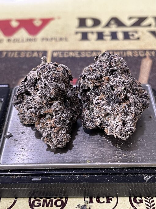 Mellowz # 8 (Compound Genetix) Hybrid