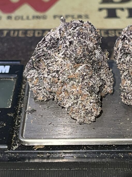 Mellowz # 8 (Compound Genetix) Hybrid