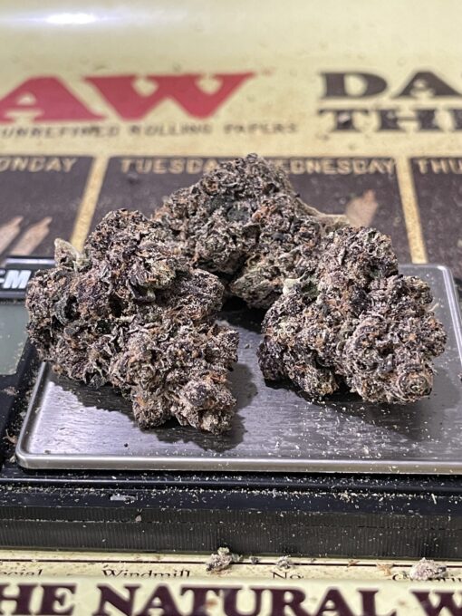 Silky Gelato (Mount Burnin)3.5g HYBRID/ Indica