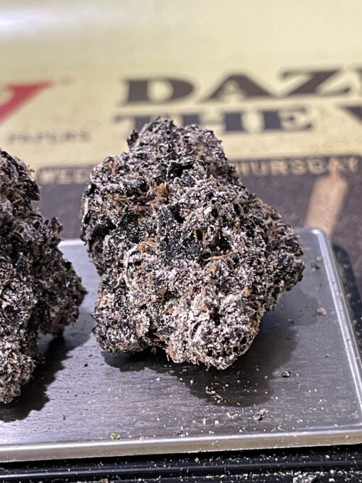 Mellowz # 8 (Compound Genetix) Hybrid