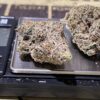 Zookies (Alien Lab)