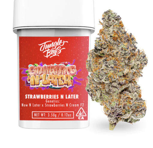 Strawberries N Latter (Jungle Boys)