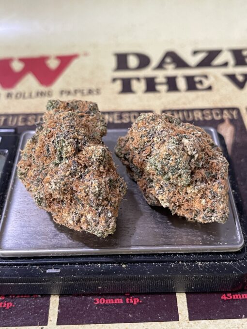 Lemon Jack Herer Sativa 28g + 2 Sativa Prerols