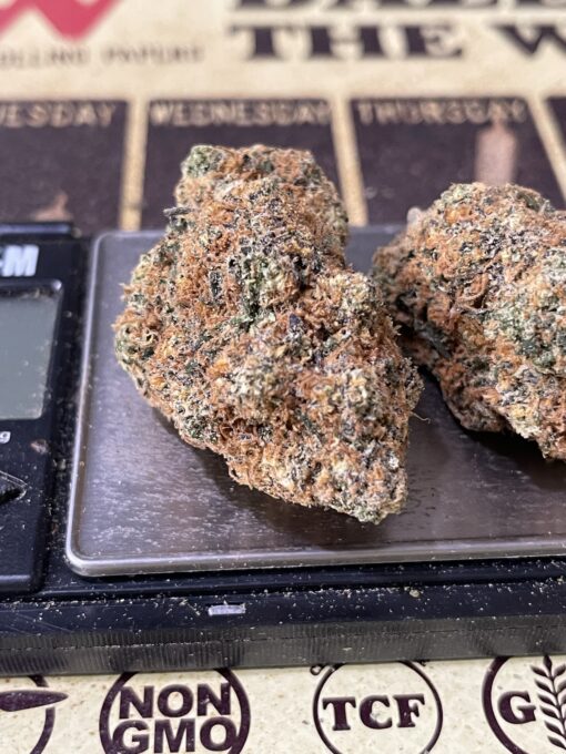 Lemon Jack Herer Sativa 28g + 2 Sativa Prerols