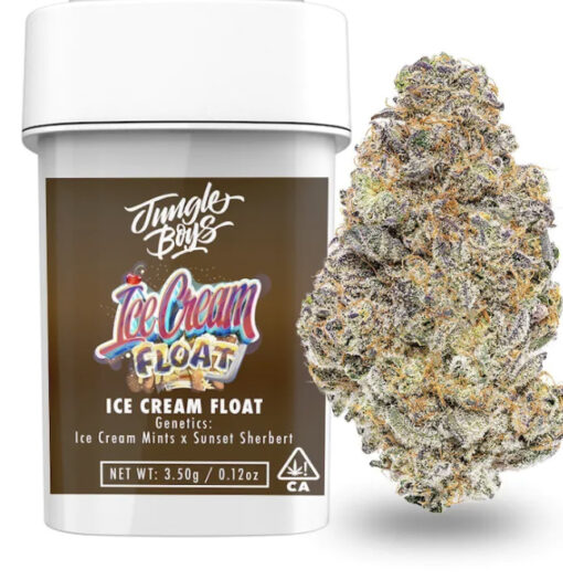 Ice cream Float (Jungle Boys)