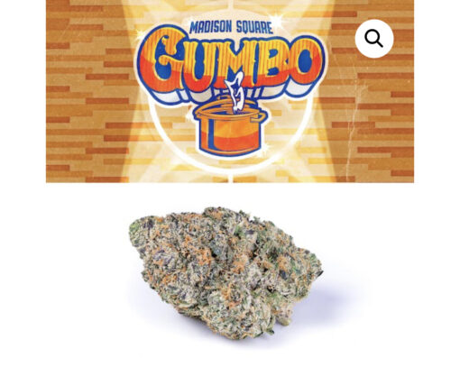 MADISON  SQUARE  GARDEN  GUMBO 3.5g INDICA🔥🔥 NEW BATCH 37%THC NEW STOCK 4/10🔥🔥
