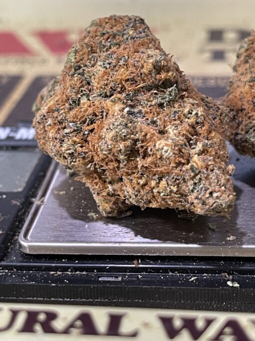 Lemon Jack ??? 3.5g SATIVA