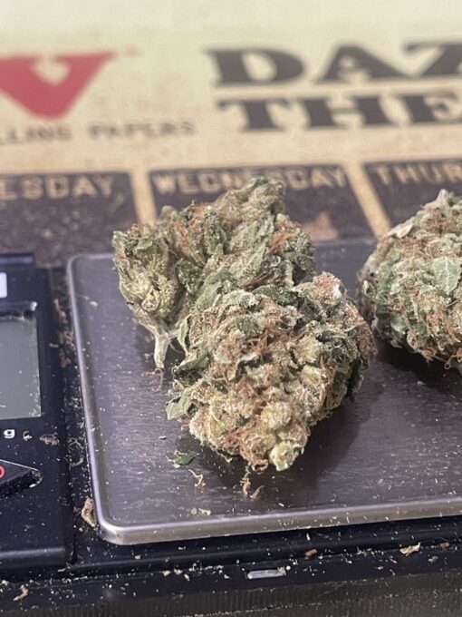 Super Silver Haze 3.5 grams Sativa 36%THC 🔥🔥