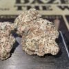 Strawberries N cream (jungle boys)Hybrid