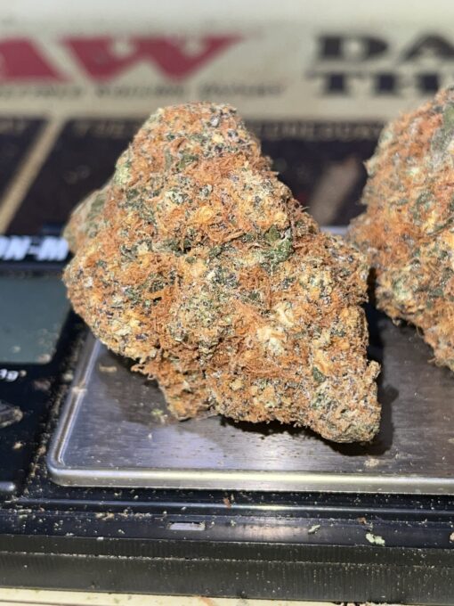 Lemon Jack ??? 3.5g SATIVA