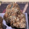 Hellraiser (JungLe Boys) Hybrid