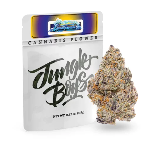 Animal Tsunami (jungle boys) Indica