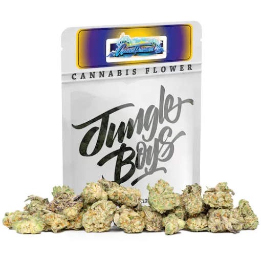 Animal Tsunami (jungle boys) Indica