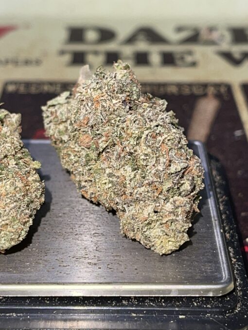 Pink Bubble Gum 3.5g Hybrid