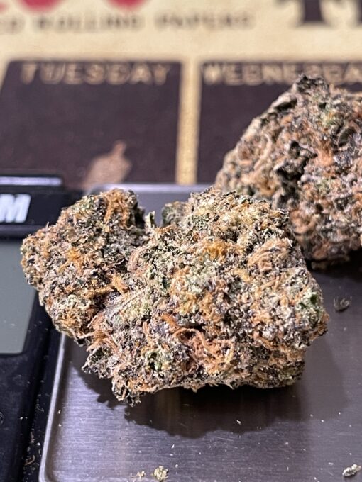 Wasabi  3.5g Hybrid EXOTICS +++