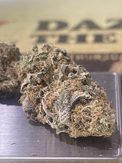 Blueberry SpaceCake 3.5g Indica (cresko labs) EXOTICS +++