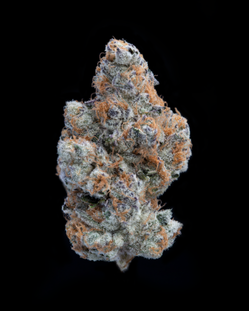 Hidden Pastry (JUNGLE Boys) NEW!! INDICA