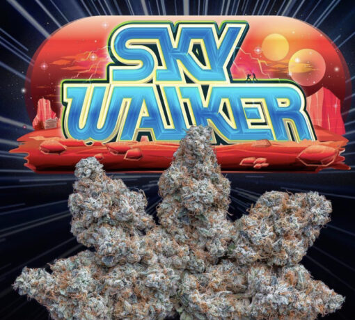 SKYWALKER (jungle boys) HYBRID NEW DROP??