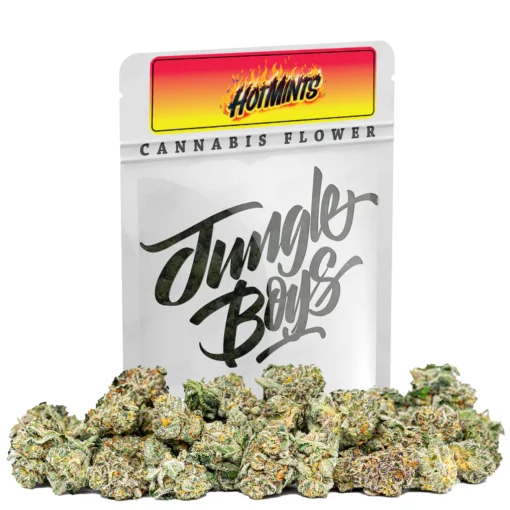 HOT MINTS 3.5g (jungle boys) HYBRID