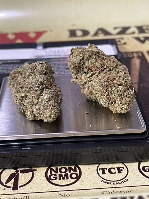 Gelato41 HYBRID 3.5g ON SALE
