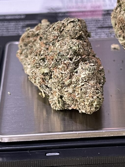 Gelato41 HYBRID 3.5g ON SALE
