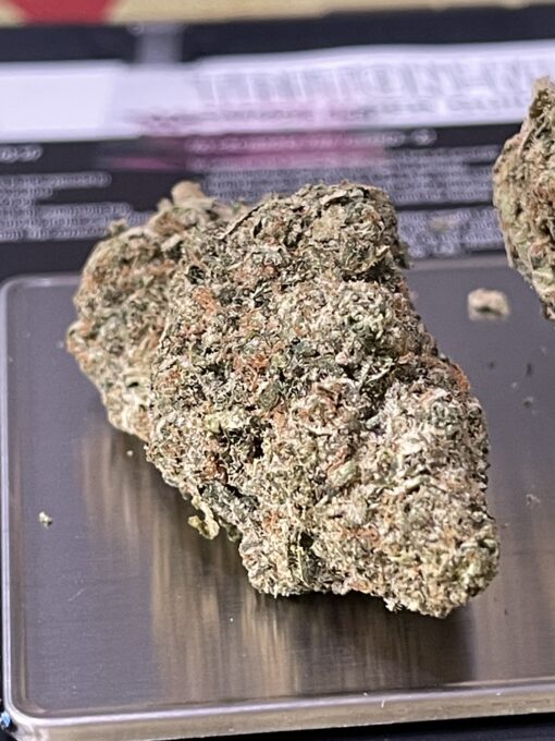 Gelato41 HYBRID 3.5g ON SALE