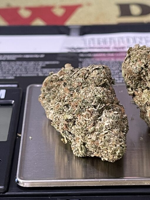 Gelato41 HYBRID 3.5g ON SALE