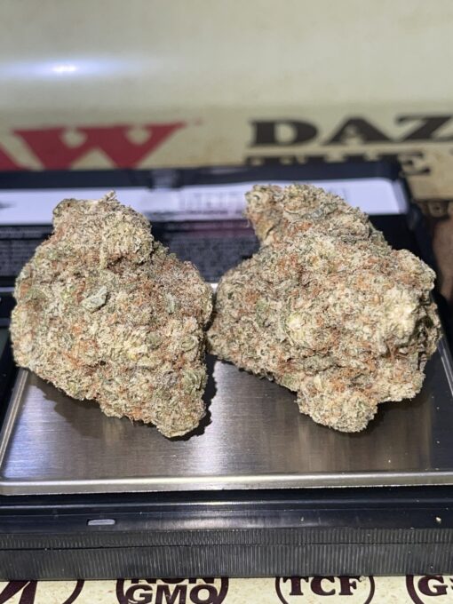 Melonade 3.5g SATIVA INDOOR ??
