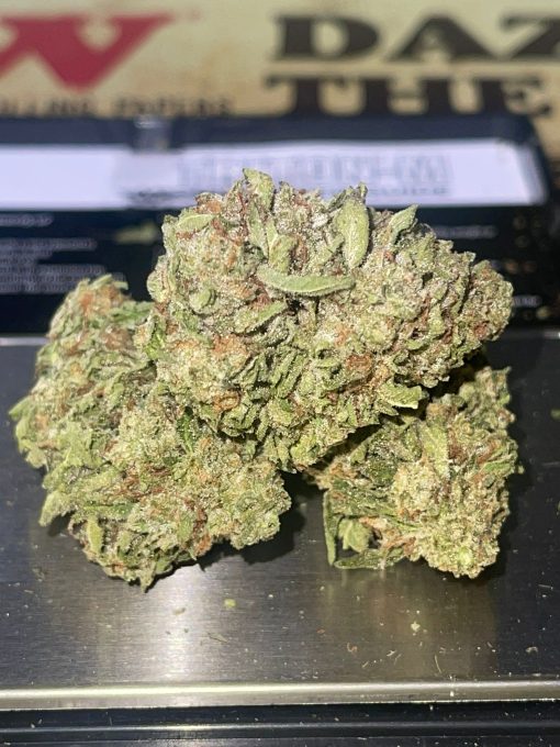 GELATO33 (HYBRID)3.5g GREENHOUSE