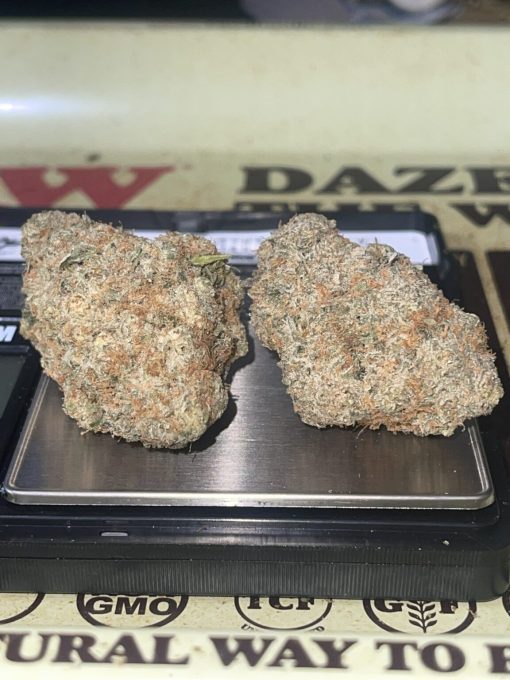 STRAWBERRY CEREAL MILK (HYBRID) EXOTIC ON SALE