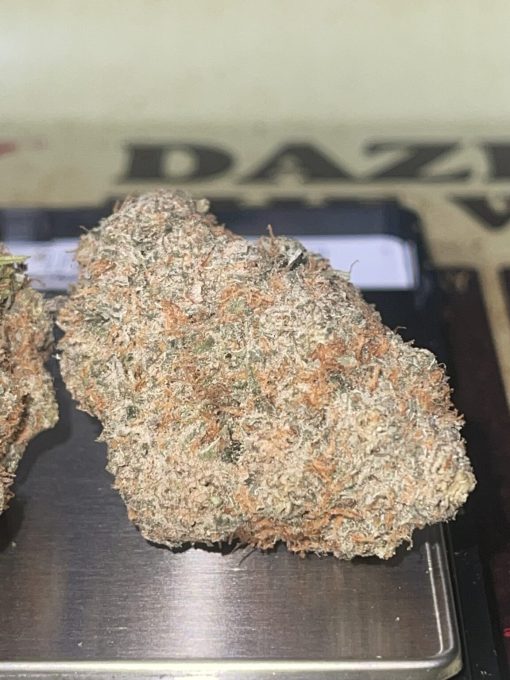 STRAWBERRY CEREAL MILK (HYBRID) EXOTIC ON SALE