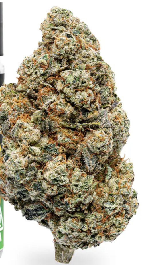 PRIVATE RESERVE (JUNGLE BOYS) 3.5 HYBRID